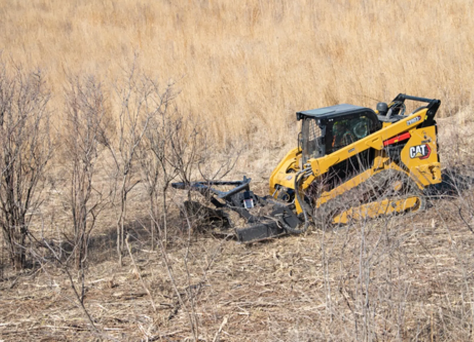 Track loader mulching dry brush and saplings in an overgrown field