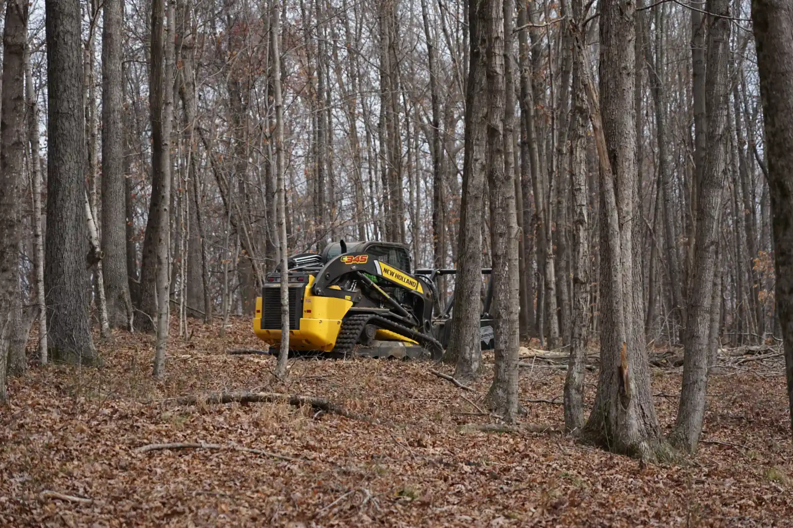 Compact track loader running a forestry mulcher head through bare hardwoods
